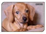 OMG DON'T CAPTURE MY SOUL WITH THAT THING! (g|ObscuredSoma)