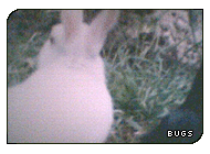 I'm the guy and the black bunny is my wife ^_^ (g|i)