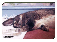 i feel asleep (g|Tortoise)