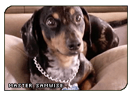 I do NOT look like a turd! (g|ObscuredSoma)