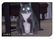 I ATE A TRUCKL (g|Ryan MacKenzie)