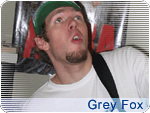 Grey Fox
