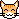 :kitty